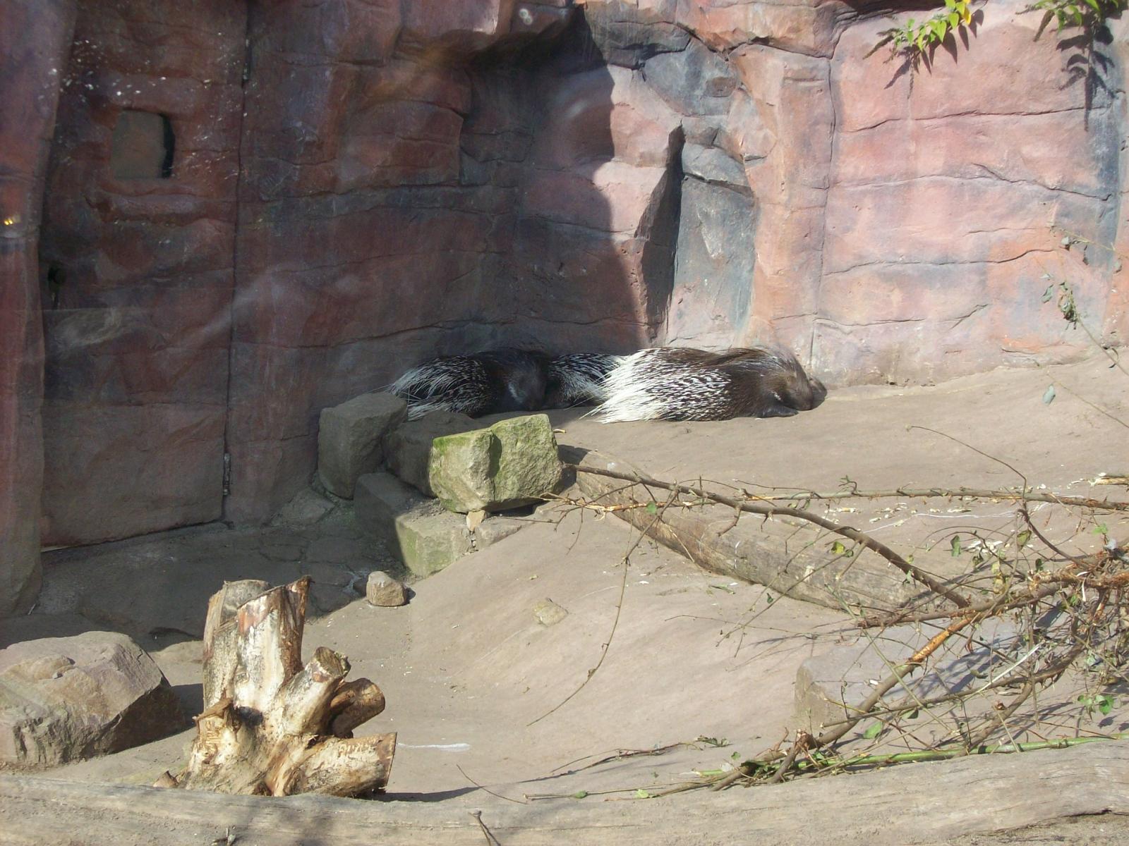 Zoom 18.10.2008-081.jpg